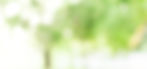 70340310_xxl_edited.jpg