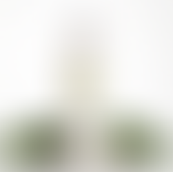 Leave in à la moringa