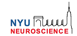 NYU Neuroscience