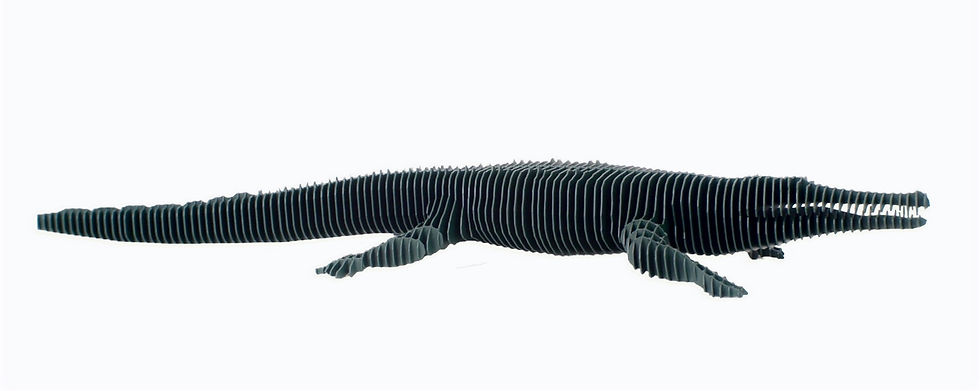 Miniature : RINA CROCO L