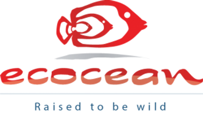 Generic-logo-300x168-300x168.png