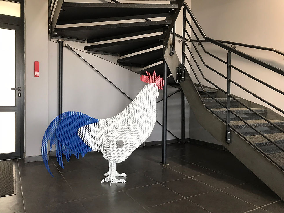 Miniature : RINA COQ XL