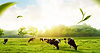 banner bg.jpg