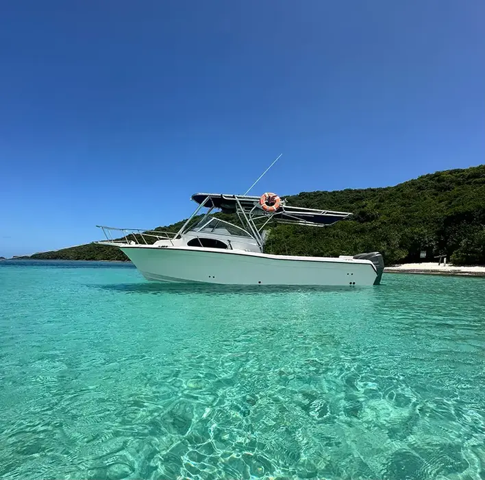 Sailfish Grady White 28 foot private boat charter anchored near a tropical island in Puerto Rico.