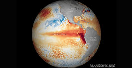 OMS se prepara para novos surtos de doenças virais ligadas ao El Niño