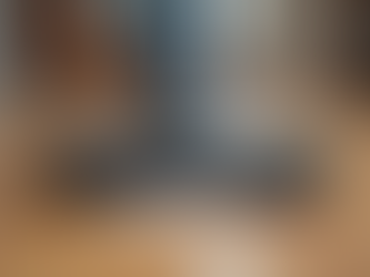 Experience the Power of Clean with the Sauber SF-100 Bagless Vacuum Cleaner