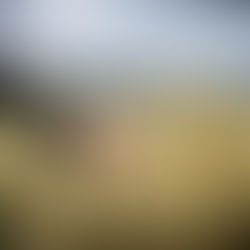 Acacien Foundation Blog: Healing Nature Secures Civilization