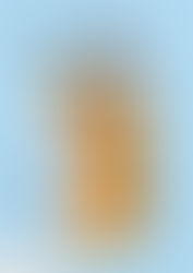 We'll Prescribe You a Cat By Syou Ishida, Translated by E. Madison Shimoda