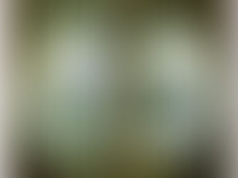 DANS TON ART ! Celtic Frost - Into the Pandemonium