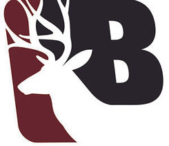 Buchanan School Logo.jpg