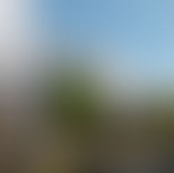 New Empire Corp. Nears Building Sellout At Prospect Park South Development, 567 Ocean