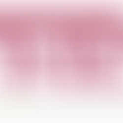 NYREJ 特色 Bentley