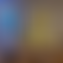 Brooklyn condo brings new twist to virtual sales: the robot tour