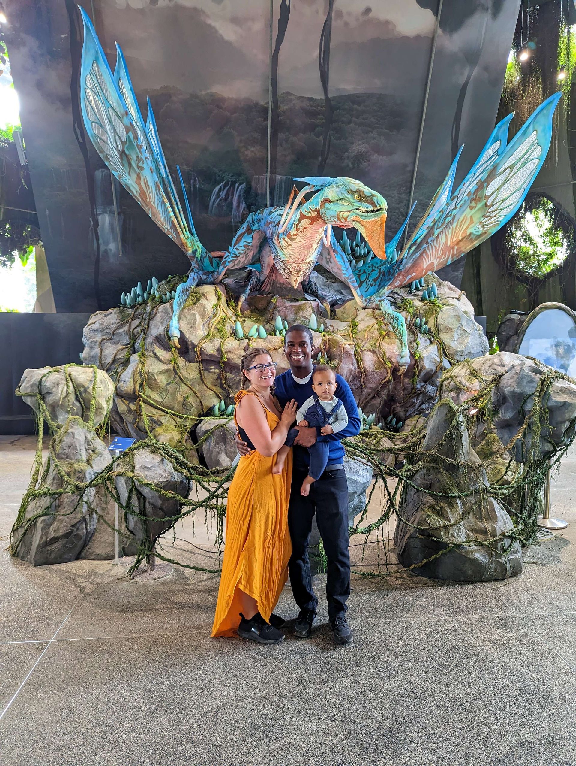 Avatar: The Experience
