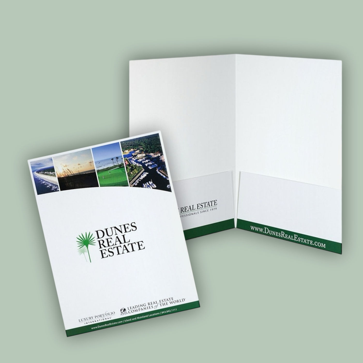 Standard Presentation Folders (2 pockets Full Color)