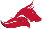 MNG - Dire Wolves Logo 2.3.png