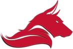 MNG - Dire Wolves Logo 2.3.png