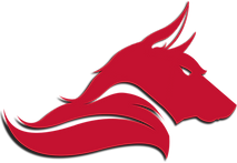 MNG - Dire Wolves Logo 2.3.png