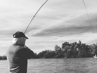 Upper Sac & Lower Sacramento Fishing Report
