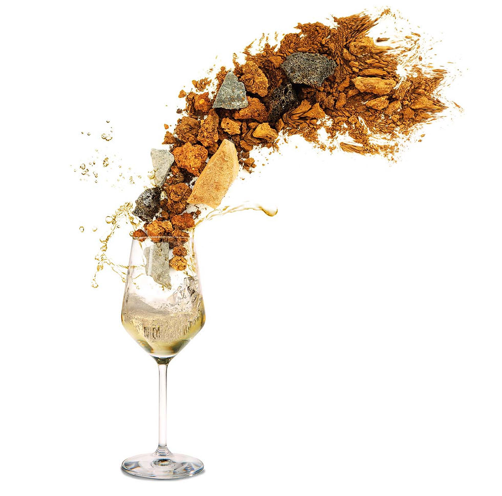 Traminer-Erde Glas.jpg