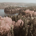 Koli1.jpg