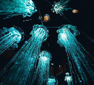 2024_MLF_Web__Carim Jost (132).jpg