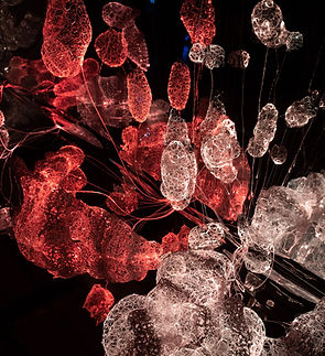 2019_01_Murten_Light_Festival_Carim_Joist (172)-min.jpg