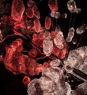 2019_01_Murten_Light_Festival_Carim_Joist (172)-min.jpg