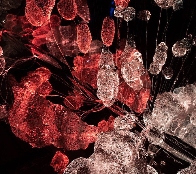 2019_01_Murten_Licht_Festival_Carim_Joist  (172)-min.jpg