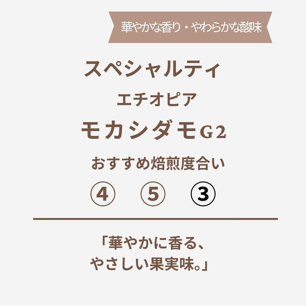 エチオピア モカシダモ G2