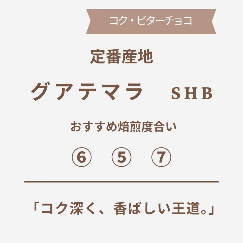 ガテマラ SHB