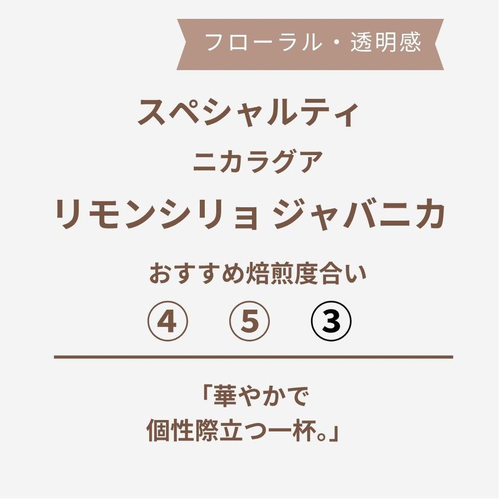 ニカラグア リモンシリョ ジャバニカ
