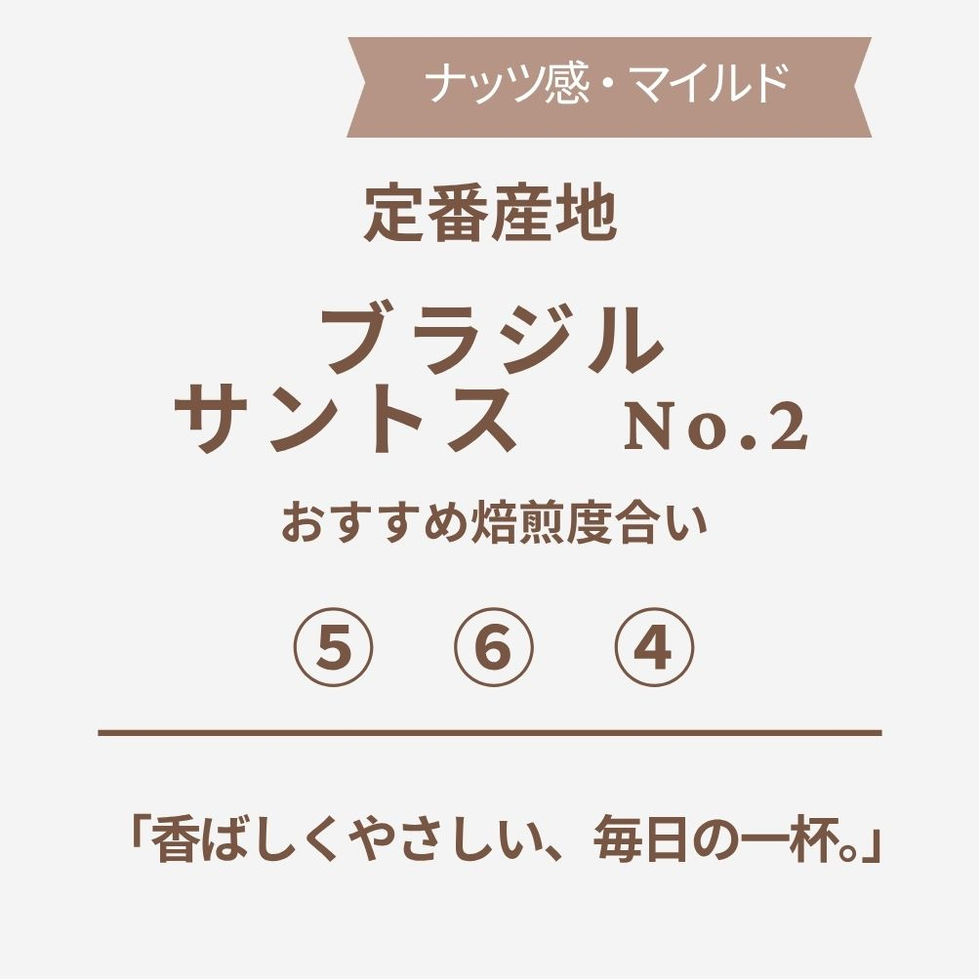 ブラジル サントス No.2