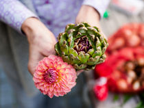 Doppelblüte in Kerstins Händen bei FLORES in Duisburg-Duissern