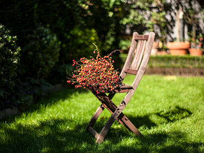 Garten Stuhl mit Beeren von FLORES