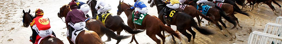 derby_start.jpg