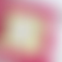 Valentine Series 2019