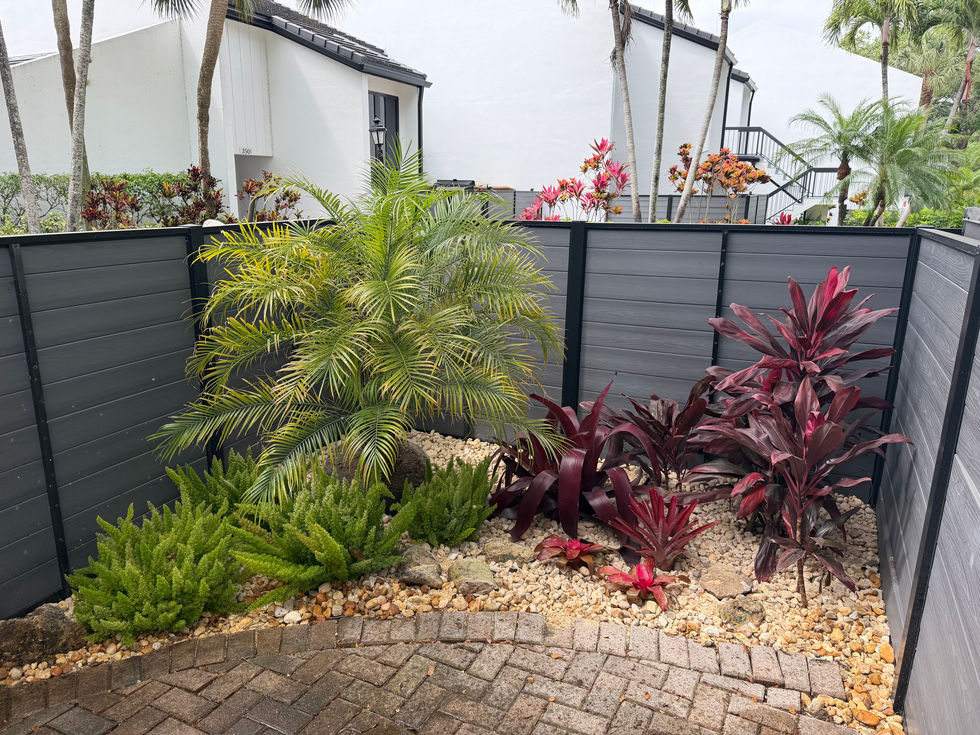 Colorful and tropical landscape In Boca Raton. Installed a palm tree and bromeliads