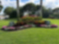 Flowers around a beutiful landscape