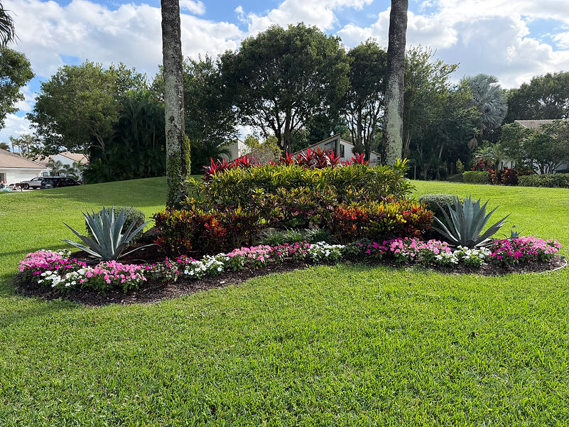 Flowers around a beutiful landscape