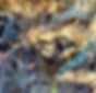 imgi_5_IMG_3169_HEIC (1).png