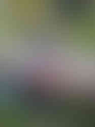 Christine & Leo at Hood River Waterfront Park