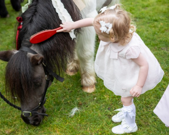 Magic Ponies (mobile) — kids' party venue in London