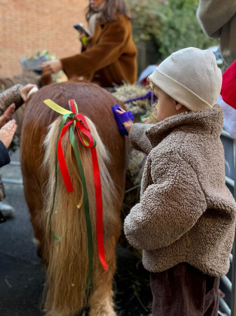 Child brushing pony with red and green ribbons