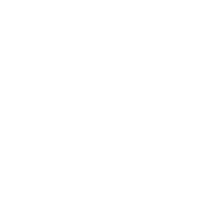 Ellipse 9.png