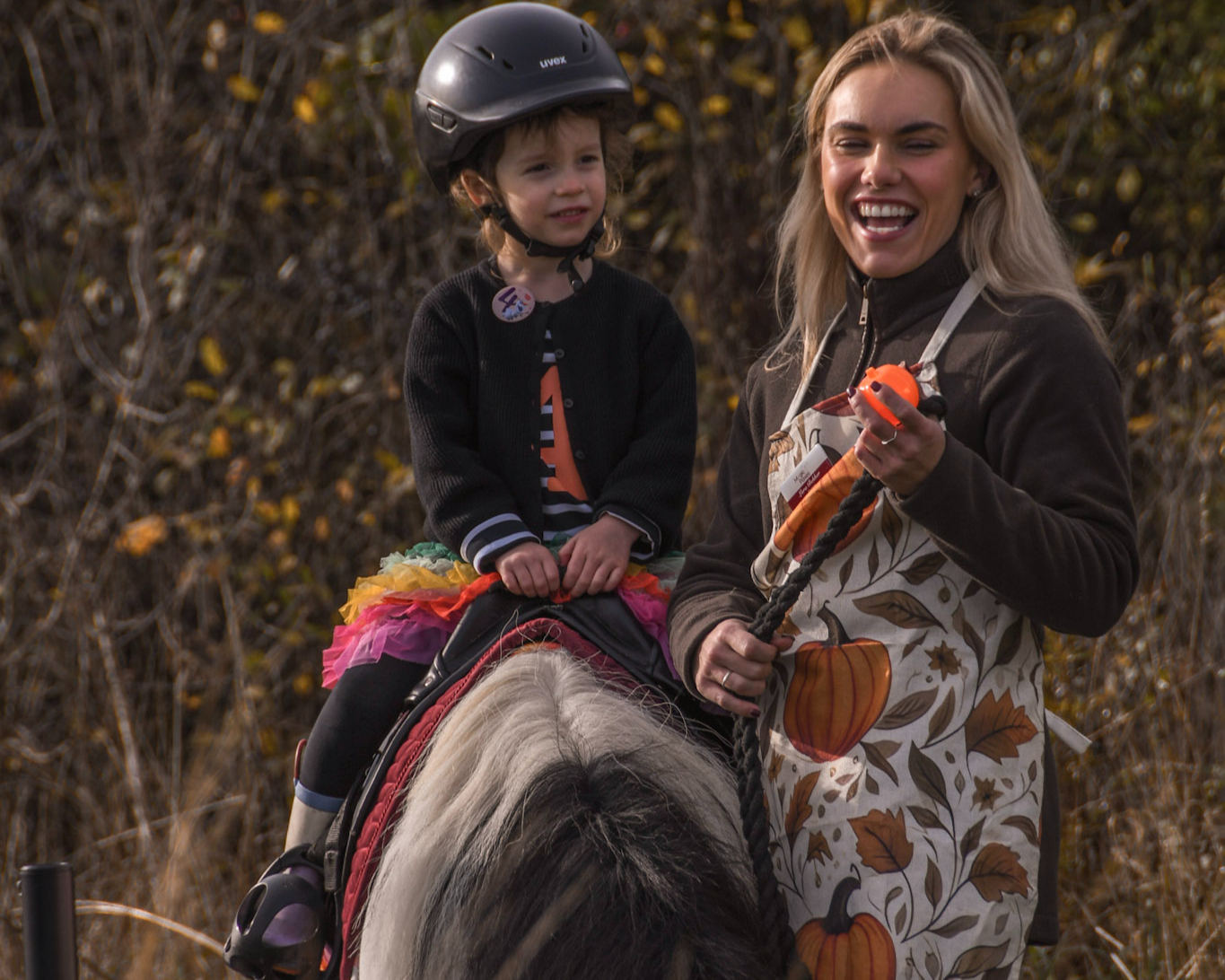 Magic Ponies (mobile) — kids' party venue in London