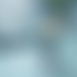 Understanding the Process of Getting Dental Implants