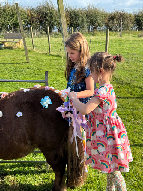 Two girls decorating a brown pony with flowers and ribbons.