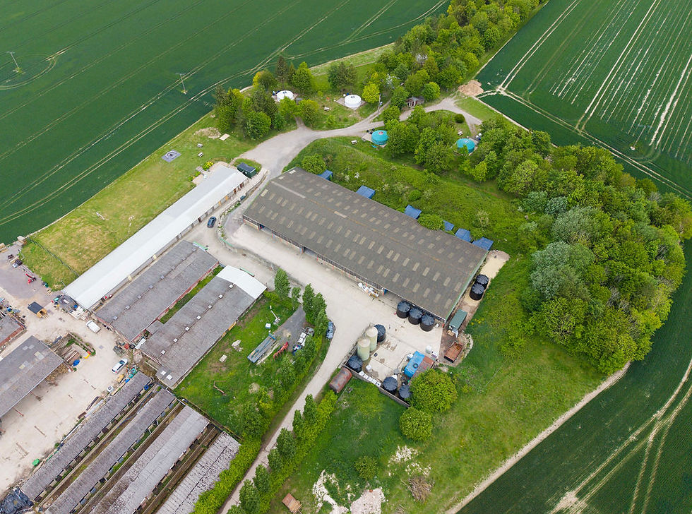 BSP_Meon_Springs_Self_Storage_03.JPG