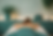 Homepage Final.png